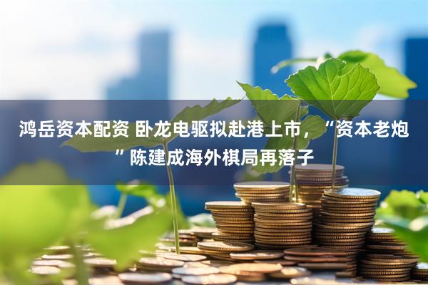 鸿岳资本配资 卧龙电驱拟赴港上市，“资本老炮”陈建成海外棋局再落子