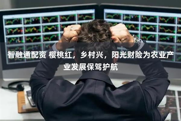 智融通配资 樱桃红，乡村兴，阳光财险为农业产业发展保驾护航