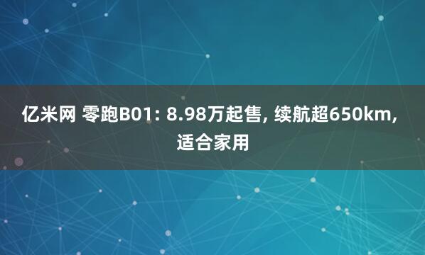 亿米网 零跑B01: 8.98万起售, 续航超650km, 适合家用